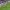 https://res.cloudinary.com/billionhands/image/upload/v1779818148/items/ihrdwsogwz4vfrieo0eu.jpg-0cover
