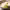 https://res.cloudinary.com/billionhands/image/upload/v1779820054/items/gi69jdxmkfxfjxuwyd7h.jpg-0cover