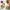 https://res.cloudinary.com/billionhands/image/upload/v1779820825/items/x258fuukgmah08cyn0jh.jpg-1cover