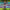 https://res.cloudinary.com/billionhands/image/upload/v1779823510/items/yiuemjuj32lacslmf9sl.jpg-1cover