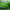 https://res.cloudinary.com/billionhands/image/upload/v1779824128/items/b7ftlywldcphpfvifnrh.jpg-1cover