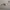 https://res.cloudinary.com/billionhands/image/upload/v1779825174/items/flqnwjq4o6ul90lju9hg.jpg-1cover