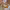 https://res.cloudinary.com/billionhands/image/upload/v1779826309/items/qqo57eoq1wbl7xrhlijs.jpg-0cover
