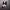 https://res.cloudinary.com/billionhands/image/upload/v1779826676/items/wrux1d72usr3ilqjndhk.webp-0cover