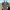 https://res.cloudinary.com/billionhands/image/upload/v1779826789/items/shnsql1ylzc8b53f2hq1.jpg-2cover