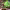 https://res.cloudinary.com/billionhands/image/upload/v1779828231/items/ipzuaydnxigyzgshhrvs.webp-3cover