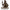 https://res.cloudinary.com/billionhands/image/upload/v1779833793/items/nrzcqlnw6epodkbwf5hb.webp-0cover