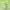 https://res.cloudinary.com/billionhands/image/upload/v1779833803/items/ccezyqzhbgqry1inbjom.jpg-2cover