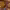 https://res.cloudinary.com/billionhands/image/upload/v1779834806/items/ogj4oeuwxfxuppatajtk.webp-3cover