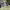 https://res.cloudinary.com/billionhands/image/upload/v1779834985/items/udtexxv9cbyn3julyoxs.webp-1cover