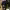 https://res.cloudinary.com/billionhands/image/upload/v1779837434/items/uglmbrapopojldrctkup.webp-3cover