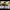 https://res.cloudinary.com/billionhands/image/upload/v1779838456/items/ovgby9tde4nnddaislvs.jpg-3cover