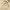 https://res.cloudinary.com/billionhands/image/upload/v1779844147/items/ui7xyxmyboqlpwiohdzb.webp-2cover