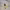 https://res.cloudinary.com/billionhands/image/upload/v1779845899/items/str0o1ieieee6qrdrs0q.jpg-2cover