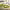 https://res.cloudinary.com/billionhands/image/upload/v1779848846/items/ec8wjpigaxnz517kmvde.jpg-2cover
