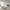 https://res.cloudinary.com/billionhands/image/upload/v1779850122/items/xr5sjcx4yulmupzfqvv0.jpg-2cover