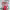 https://res.cloudinary.com/billionhands/image/upload/v1779851327/items/ssfk6ipe5zzaxhi0ir8a.jpg-3cover