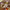 https://res.cloudinary.com/billionhands/image/upload/v1779851996/items/tbigdqypfvcfxnrm9ax8.jpg-0cover
