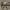 https://res.cloudinary.com/billionhands/image/upload/v1779852189/items/cf7ocicj1jmwqxwb68qu.jpg-0cover
