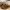 https://res.cloudinary.com/billionhands/image/upload/v1779852190/items/xtsbo3javaoq4rril3dt.jpg-0cover