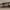 https://res.cloudinary.com/billionhands/image/upload/v1779856743/items/tbjkyghsu3mzcfmr0uy3.jpg-3cover