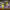 https://res.cloudinary.com/billionhands/image/upload/v1779856895/items/gekgi4chaozt6uasrahz.jpg-2cover