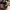 https://res.cloudinary.com/billionhands/image/upload/v1779859420/items/gvsk7augymhuplycutnw.jpg-1cover