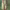 https://res.cloudinary.com/billionhands/image/upload/v1779862107/items/zmelsbjivki19okxsv0v.jpg-0cover