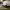 https://res.cloudinary.com/billionhands/image/upload/v1779863239/items/w0pzjbihi96ptunkfso5.jpg-1cover