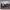 https://res.cloudinary.com/billionhands/image/upload/v1779863242/items/oynmqvhnm9zxv4wqcdit.jpg-3cover