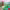 https://res.cloudinary.com/billionhands/image/upload/v1779866952/items/wylgtaesrvzk5nljxzls.webp-1cover
