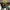 https://res.cloudinary.com/billionhands/image/upload/v1779866953/items/kq2esf8qus2bxcczk6kl.jpg-0cover