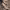 https://res.cloudinary.com/billionhands/image/upload/v1779868213/items/lsakgwho2pncmdrsgnbu.jpg-0cover