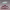https://res.cloudinary.com/billionhands/image/upload/v1779869272/items/oop5zcn8b0fzre1kjfzj.jpg-3cover