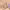 https://res.cloudinary.com/billionhands/image/upload/v1779869931/items/pu3aazdpl0irfzmrnide.jpg-1cover
