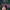 https://res.cloudinary.com/billionhands/image/upload/v1779870241/items/joabcstqr2julggkytuy.jpg-2cover