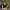 https://res.cloudinary.com/billionhands/image/upload/v1779870244/items/og0zai1hab0szmgibdif.jpg-3cover