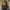https://res.cloudinary.com/billionhands/image/upload/v1779870249/items/exwykzgybfbmjtnf7bwy.webp-2cover