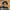 https://res.cloudinary.com/billionhands/image/upload/v1779872320/items/gdb1zhr2mz3kuc3uzmbq.webp-3cover