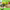 https://res.cloudinary.com/billionhands/image/upload/v1779872393/items/vkqpzffnchdjea0zaefo.jpg-2cover