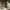 https://res.cloudinary.com/billionhands/image/upload/v1779873741/items/pnnkwwrsz9g6tw0l5rxw.avif-0cover