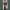 https://res.cloudinary.com/billionhands/image/upload/v1779873743/items/xvzy6vvmwlpk9nhcwrap.png-0cover