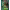https://res.cloudinary.com/billionhands/image/upload/v1779874292/items/qjnbiimj3uj7zldf8soe.webp-3cover