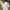 https://res.cloudinary.com/billionhands/image/upload/v1779874293/items/voxh9dgmpnjj3y3ty1f7.webp-2cover