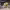 https://res.cloudinary.com/billionhands/image/upload/v1779874462/items/pfzisaotggbjdnrpyzg5.webp-1cover