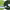 https://res.cloudinary.com/billionhands/image/upload/v1779874464/items/t6jbruwul2cab2q0xe5r.webp-2cover