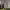 https://res.cloudinary.com/billionhands/image/upload/v1779874467/items/lnokuocmu49bmum5bzbb.jpg-1cover