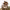 https://res.cloudinary.com/billionhands/image/upload/v1779879225/items/t0abrbfzrpofzp3eimyr.jpg-1cover