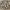 https://res.cloudinary.com/billionhands/image/upload/v1779880012/items/lhcdpldzv90mu8hybnrj.jpg-1cover