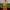 Gwyneth Paltrow at Golden Globes 2020 cover